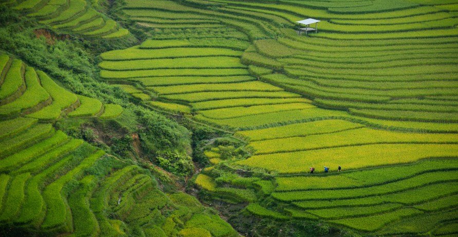 Vietnam Location